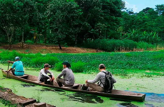 Amazon Wildlife Adventure — night safari