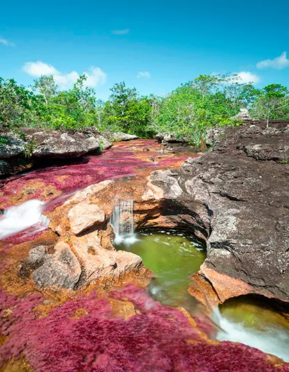 Caño Cristales Adventure