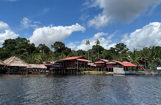Amazon Nature Tour — river and jungle