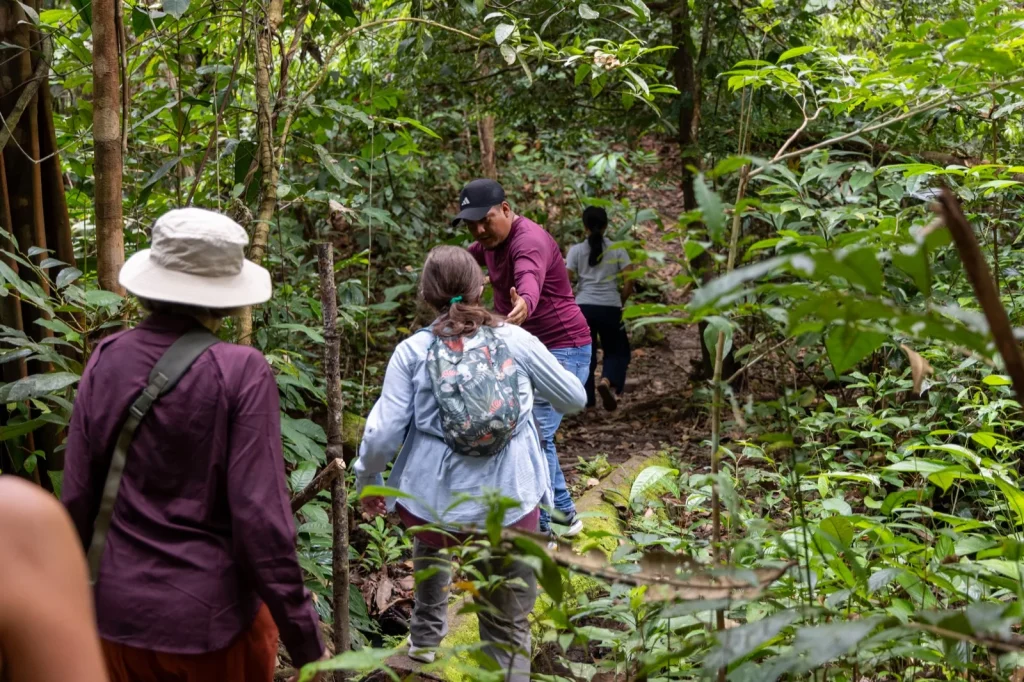 Is It Safe to Travel to the Colombian Amazon?