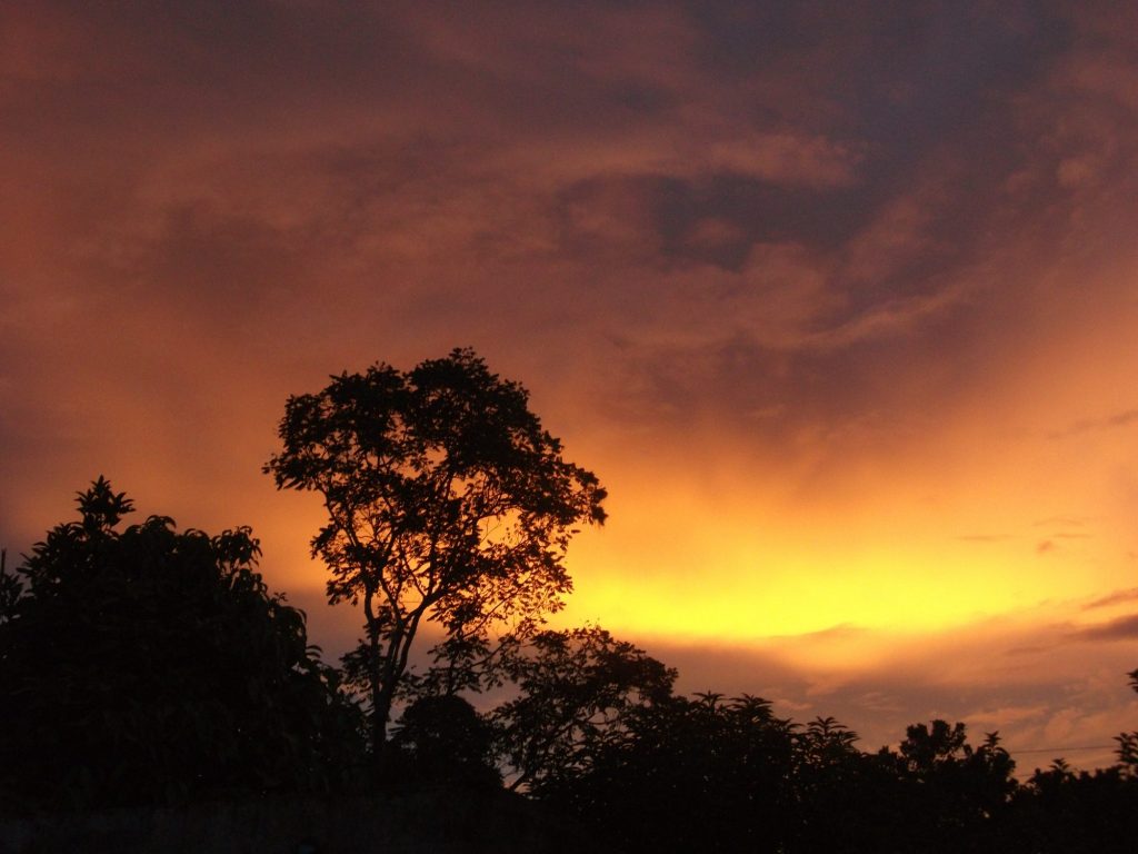 Night in the Amazon Jungle: What Matapi Healers Taught Us