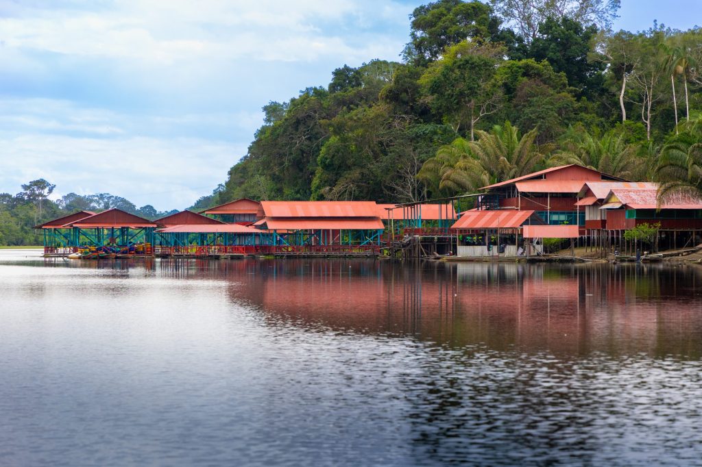 Colombian Amazon Travel Guide 2026: Leticia, Puerto Nariño and the Jungle