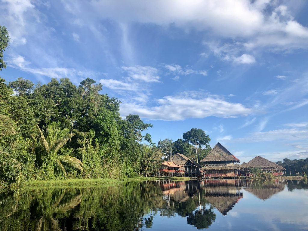 Colombia vs Peru vs Brazil vs Ecuador: Where to See the Amazon Rainforest