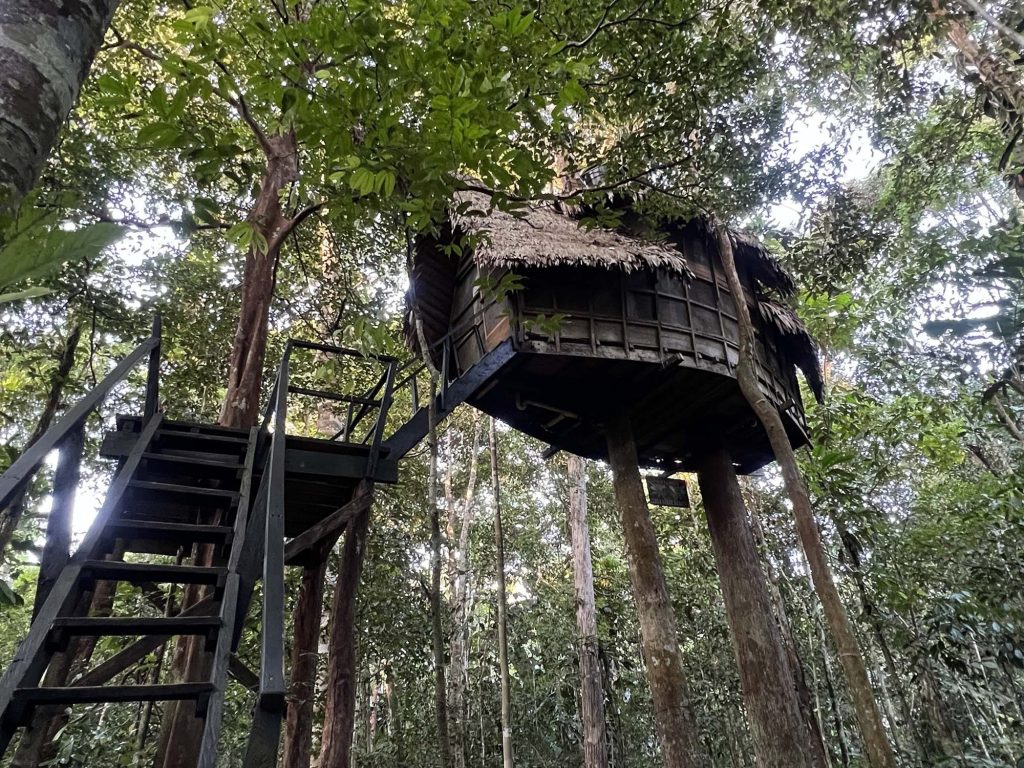 Colombian Amazon Itinerary: How Many Days in Leticia? (4-Day Plan)